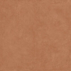 Плитка Homey Cotto Nat Ret R 10 - 120x120 5249 Homey