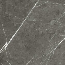 Плитка 80x80 Prexious Rex Charming Amber Matte R - Prexious of Rex - 755823