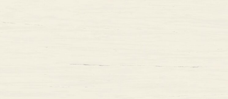 Сляб Marvel Bianco Dolomite 120x278 Matt  A2RS з колекції Marvel Stone Atlas Concorde Сляб Marvel Bianco Dolomite 120x278 Matt  A2RS з колекції Marvel Stone Atlas Concorde