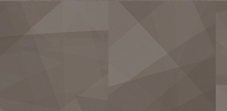 Плитка 29,5x59,2 Decor Geo Grey Ret-Board-R883R(A) з колекції Board Aleluia