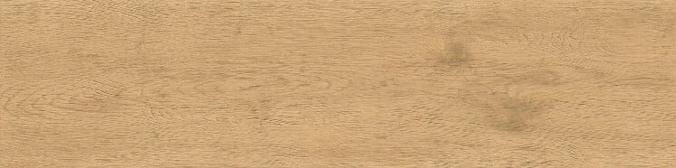 Плитка Entice Pale Oak Natural 20 Mm - 30x120 A9DD Entice з колекції Entice Atlas Concorde