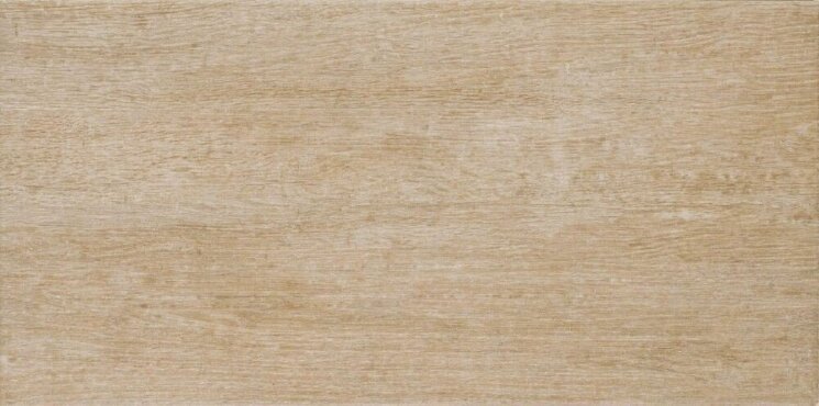 Плитка Dolce 31x62.7 Lovely Rosagres з колекції Lovely Rosagres