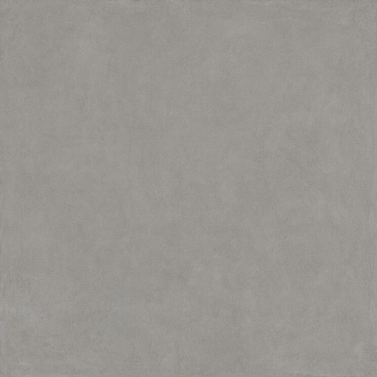 Плитка Homey Dove Nat Ret R 10 - 120x120 5247 Homey з колекції Homey Piemme