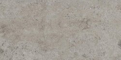Плитка Grey Smooth 120x240 La Roche Rex Плитка Grey Smooth 120x240 La Roche Rex
