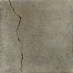 Декор Siena Frammenti Platino Muschio - 20x20 B70056 Siena