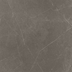 Плитка (60x60) LGWETR7 Gray Stone Velvet Rtt - Dreaming