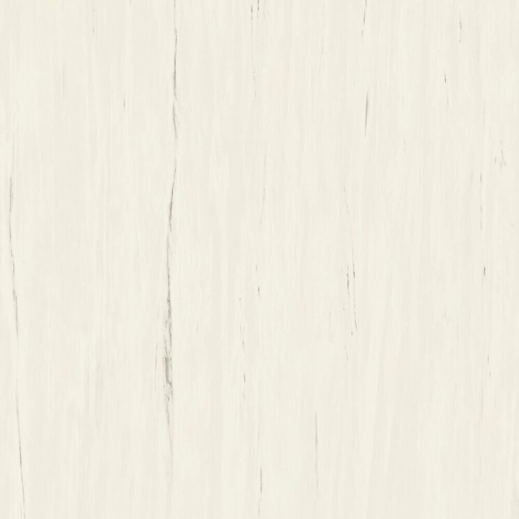 Сляб Marvel Bianco Dolomite 120x120 A204 з колекції Marvel Stone Atlas Concorde