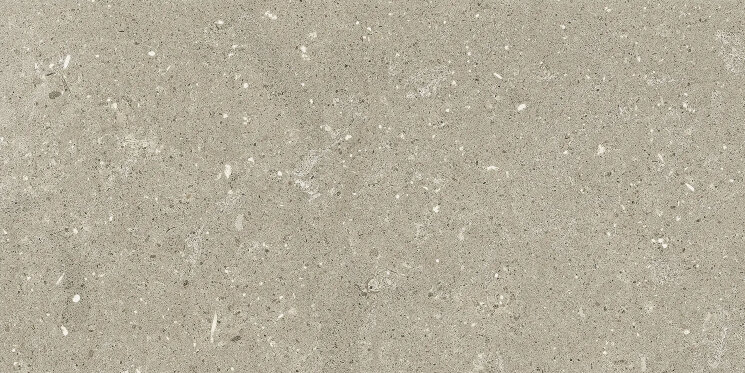 Плитка HWD 11 Greige Grip Rett - 30x60 G8WD11GRIR Wild з колекції Wild Del Conca Плитка HWD 11 Greige Grip Rett - 30x60 G8WD11GRIR Wild з колекції Wild Del Conca