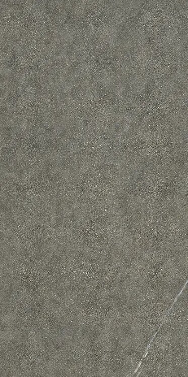 Плитка 22.5x45.3 AFMD Sh.Iuliaout Caesar Shapes of Italy з колекції Shapes of Italy Caesar