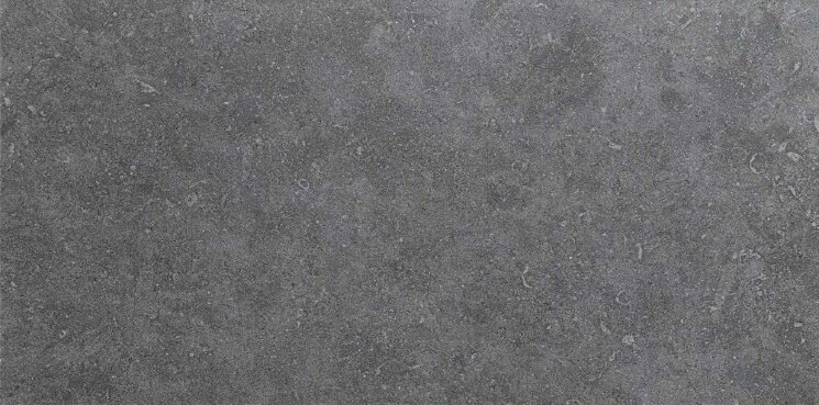Плитка (45x90) 8S01 Seastone Gray - Seastone з колекції Seastone Atlas Concorde