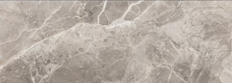 ARIANA GRAPHITE 25x70 з колекції ARIANA