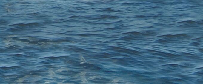 Декор (25х60) SEA CENTRO з колекції Porto CER-ROL