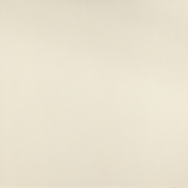Плитка (60x60) Pudn21 Neutral Rett. Bianco - Dechirer з колекції Dechirer Mutina