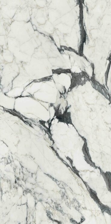 Плитка 160x320 Les Bijoux Calacatta Altissimo Blanc Glossy - Les Bijoux de Rex - 765665 з колекції Les Bijoux de Rex Rex