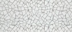 Плитка (50x110) 4MTC Marvel Palladiana Carrara - Marvel Gems