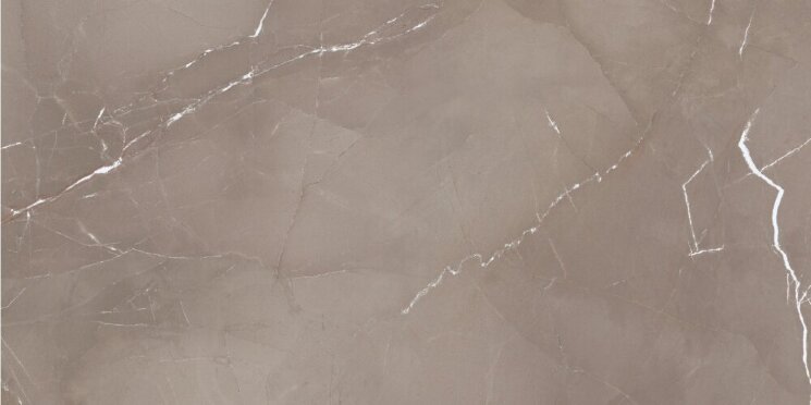 Плитка Passion Lux Taupe 60X120 з колекції Passion Azteca Плитка Passion Lux Taupe 60X120 з колекції Passion Azteca