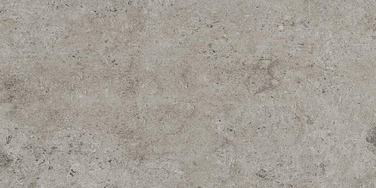 Плитка Grey Smooth 160x320 La Roche Rex з колекції La Roche Rex