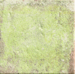 Плитка 11x11 Tempo Old Moss (G-56)-Tempo