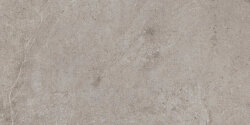 Плитка Evolution Sugar - 30x60 02CEV36R44 Evolution