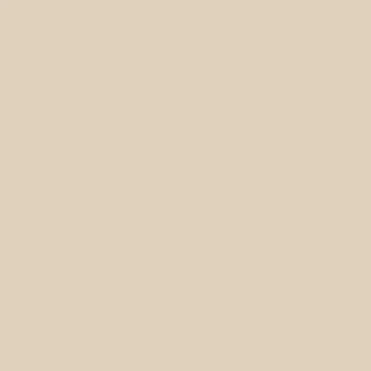 Плитка 23.25x23.25 DCCOLBE Beige Decoratori Bassanesi Colours з колекції Colours Decoratori Bassanesi