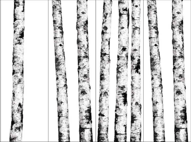 Панно Ritmi A1 B2 C3 100x300 Wanderwall Kerlite з колекції Wanderwall Kerlite Панно Ritmi A1 B2 C3 100x300 Wanderwall Kerlite з колекції Wanderwall Kerlite