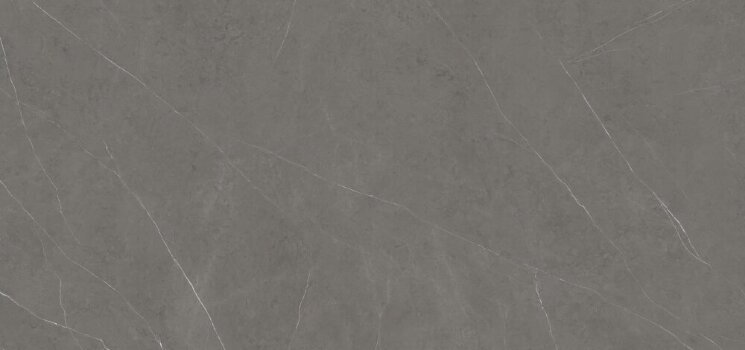 Плитка Liem Grey Polished 154x328 XLight Urbatek з колекції XLight Urbatek Плитка Liem Grey Polished 154x328 XLight Urbatek з колекції XLight Urbatek