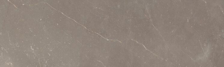 Плитка 25x85 1 Posh Pulpis - Posh - 42200070 з колекції Posh Mo.da