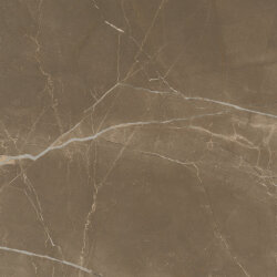 Плитка (73x73) LGOET25 Passion Pulpis Lux Rtt - Dreaming