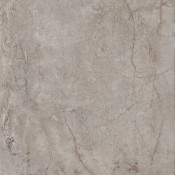 Плитка Evolution Sugar - 60x60 02CEV60R44 Evolution