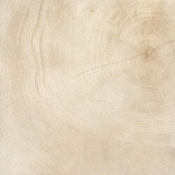 Плитка Marrow Bianco Lucidato Rett 60x60 W Age Provenza