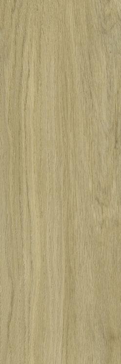 Плитка 20x60 Decorwood Gold Matt Struktura Paradyz з колекції Decorwood Paradyz Плитка 20x60 Decorwood Gold Matt Struktura Paradyz з колекції Decorwood Paradyz