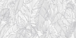 Плитка 60x120 Pearl Tropic White Fanal
