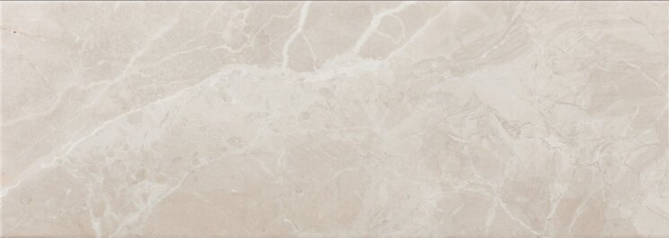 ARIANA STONE 25x70 з колекції ARIANA