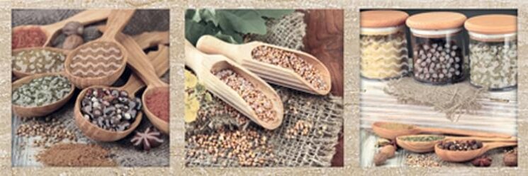 Декор Decor B 10x30 Exquisit Monopole з колекції Exquisit Monopole