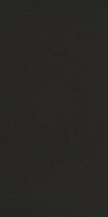 Плитка Black Polished 29.7x59.6 Neo Urbatek з колекції Neo Urbatek