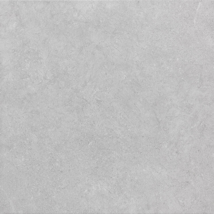 Плитка 60x60 600 Silver Ret - Ecoproject - PF00012796 з колекції Ecoproject Sintesi
