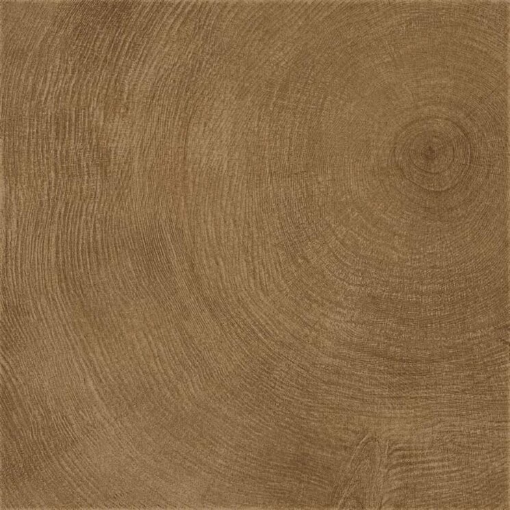 Плитка Ring Marrone Lucidato Rett 60x60 W Age Provenza з колекції W Age Provenza