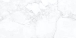 Fogy White Fogy White