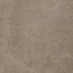 Плитка Archi Taupe 20 R 11 - 100x100 1081753 Archistone