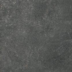 Плитка 60x60 Oubli Ext/Rtt - Pierre des Rêves - PGWP820