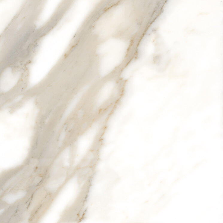 Плитка 120x120 Calacatta NPlus Fanal з колекції Calacatta Fanal