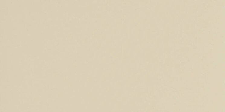 Плитка 29.5x59.2 P3055R Minimal ivory ret Aleluia Minimal з колекції Minimal Aleluia