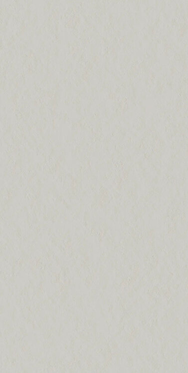 Плитка SCG Flamed - 60x120 4101139 Superclassica SCG з колекції Superclassica SCG 41ZERO42