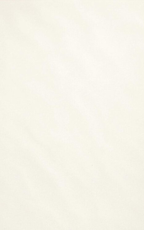 Плитка 25x40 White&Cream White - White & Cream - 1391 SW02 0 з колекції White & Cream Villeroy Boch