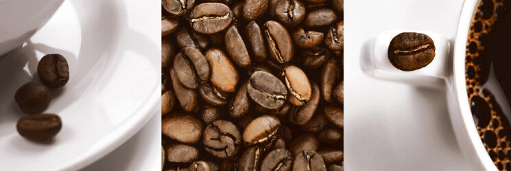 Декор 25.1X75.6 Cafe Decor B Zero Aparici з колекції Zero Aparici Декор 25.1X75.6 Cafe Decor B Zero Aparici з колекції Zero Aparici