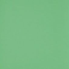 Плитка (20х20) VERDE MEDIO A940 з колекції I Laccati Senio