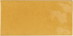 Плитка Tuscany Gold 6.5x13.2 Village Equipe