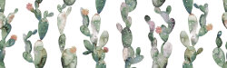 Плитка 29.75X99.55 Glimpse Cactus Ornato Glimpse Aparici
