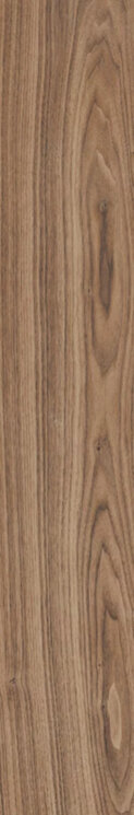 Плитка 20x120 Woodfor Honey Struktura Matt Paradyz з колекції Woodfor Paradyz Плитка 20x120 Woodfor Honey Struktura Matt Paradyz з колекції Woodfor Paradyz
