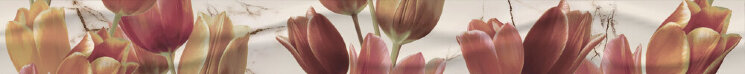 Декор (7.5x75) Listelo Tulip - Finland з колекції Finland Mallol